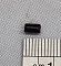 micro photo